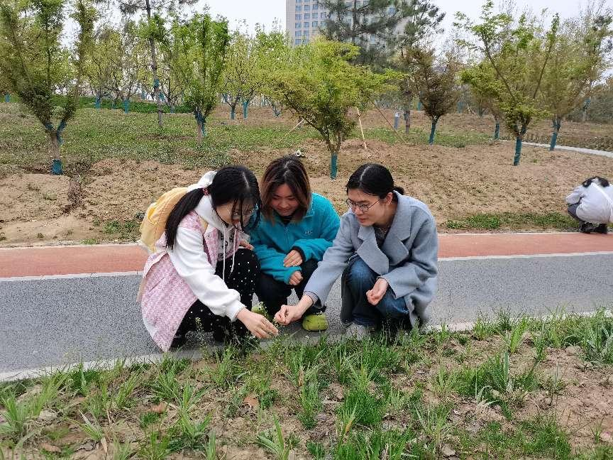 河南中医药大学外语学院英语专业教研室党支部举办中医药文化教育系列活动<br>——“寻味百草园——中草药辨识及中草药植物中英双语标识”特色党建活动