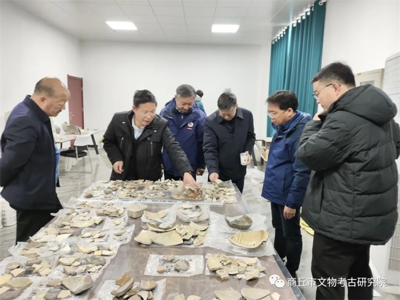 宋国故城考古发掘与保护利用专家咨询会召开