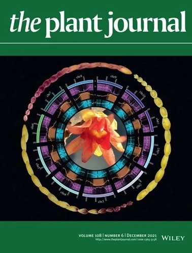 河南省林科院蜡梅团队在国际顶尖期刊《植物学杂志》发表封面文章