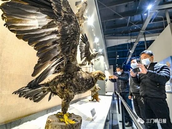 冬季探秘小秦岭 沉浸式感受生物多样性之美