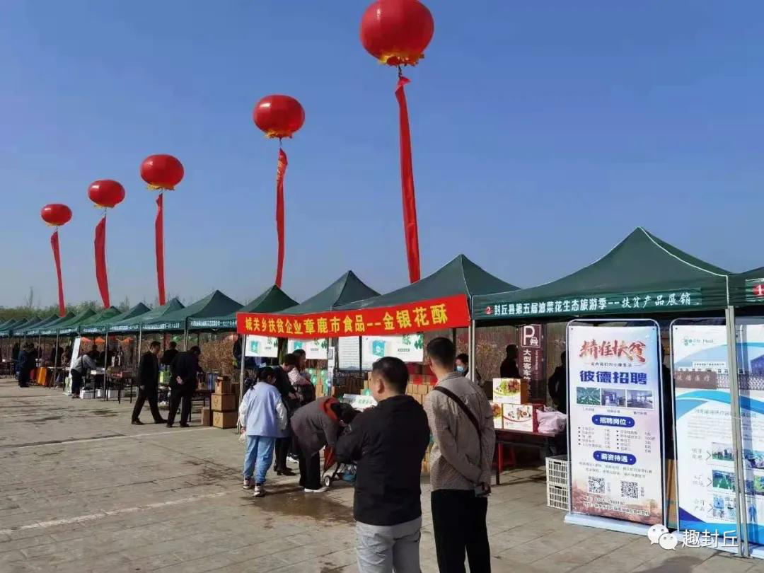 新乡：梦寻世外桃源，情归花海封丘