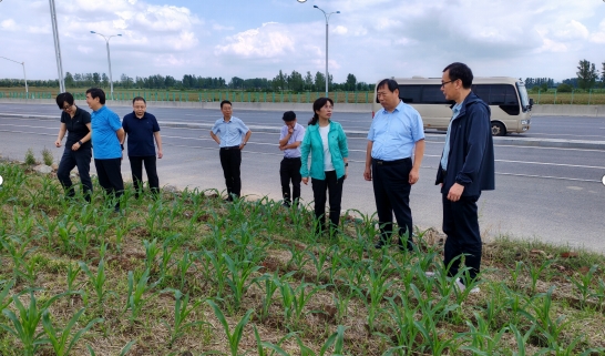 省农业农村厅副厅长王俊忠一行到驻马店市调研指导秋粮生产和涉农领域助企工作