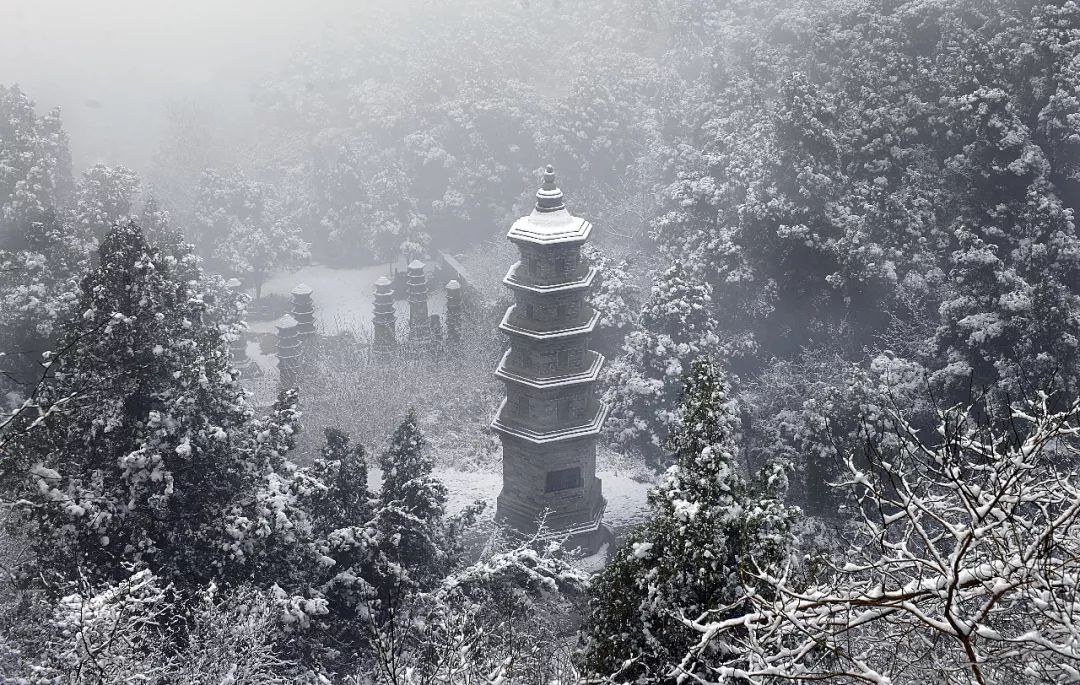 行走河南·读懂中国丨冬游月山寺 感受千年古刹的独特魅力