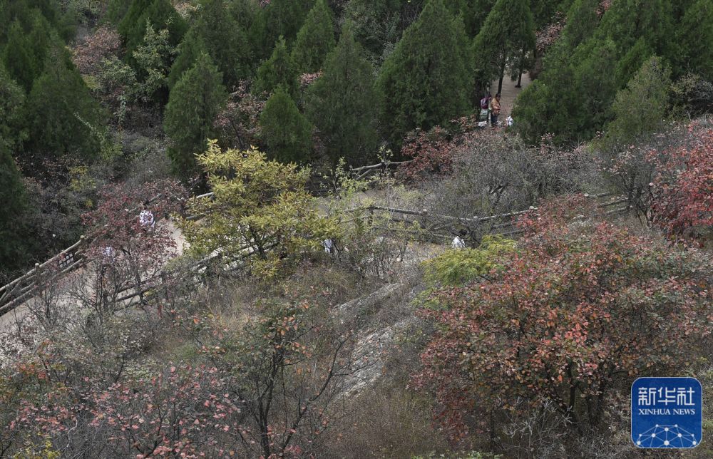 禹州：秋染大鸿寨
