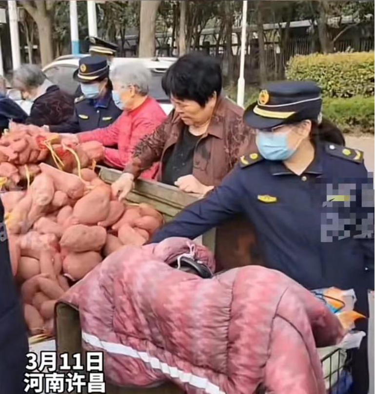 许昌城管帮75岁大爷卖红薯 <br>市民纷纷伸援手购买