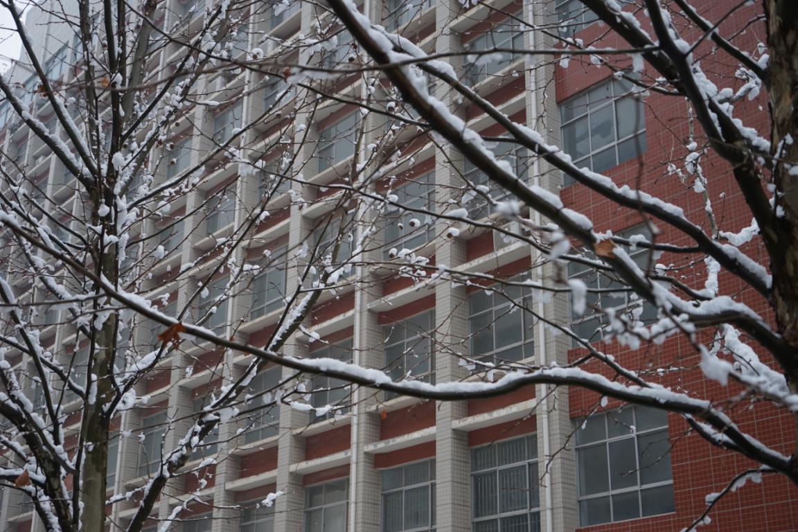 白鹭洲中学雪景图片