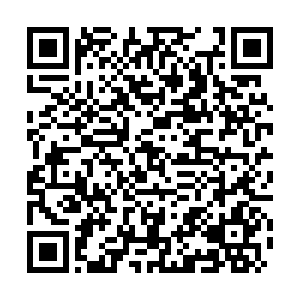 河南省营业性演出准予许可决定（410000522023000203）