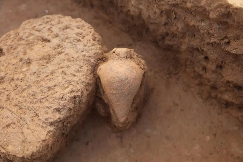 央媒观豫 | 河南裴李岗遗址发现距今7000多年的小口尖底瓶