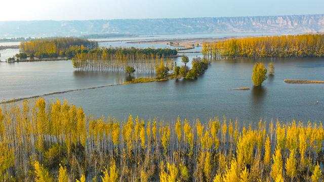 【行走河南·读懂中国】灵宝:守好黄河湿地 共享美丽生态 【行走河南·读懂中国】灵宝:守好黄河湿地 共享美丽生态