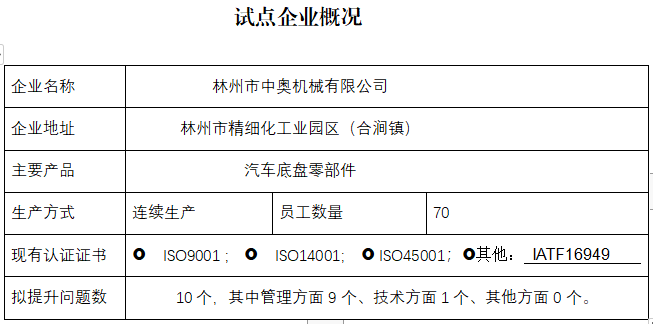 林州市中奥机械有限公司