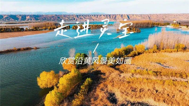 灵宝 王者荣耀灵宝系统关闭是为什么灵宝秘境怎么无法看到了-琵琶网