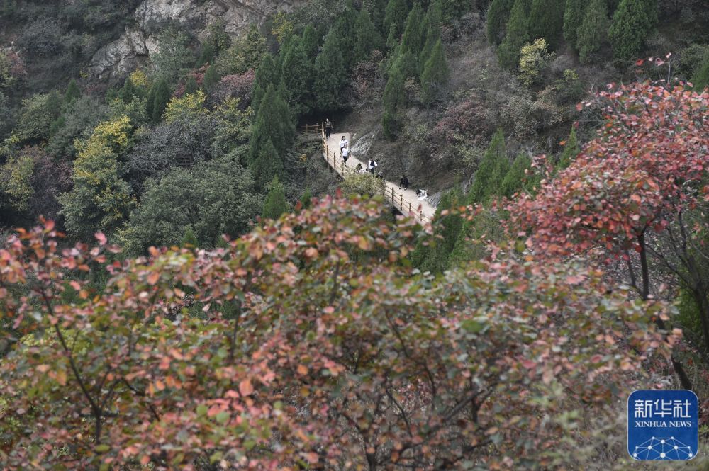 禹州：秋染大鸿寨