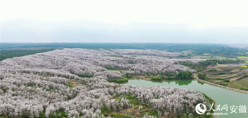 全国旅游市场持续回暖 激发消费新活力
