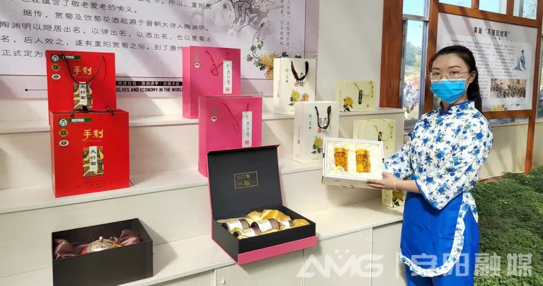 安阳：2022年“中国农民丰收节”暨茶店镇第七届菊花文化旅游节开幕