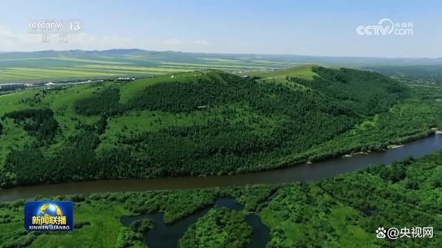 ȫ��������̬�����������Լ319��ƽ������