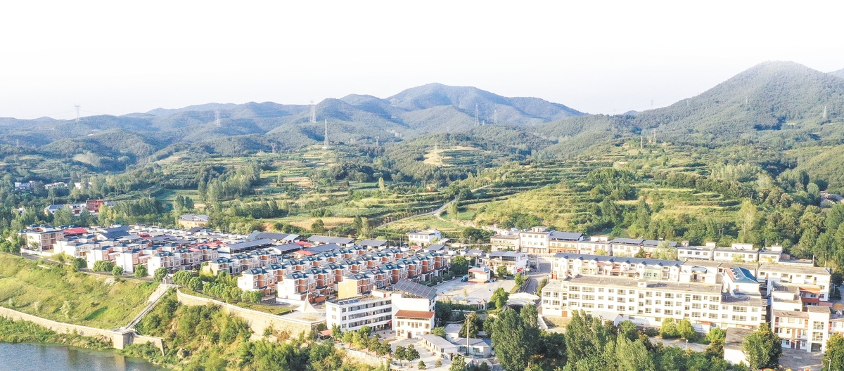 西峡 菌果飘香庆丰收