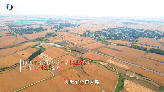 听，风吹麦浪！看，中原大地颗粒归仓！