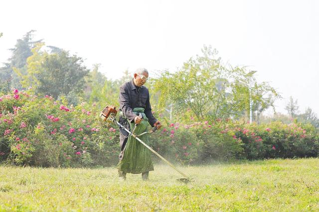 【行走河南·读懂中国】南阳：一座绿意流淌之城