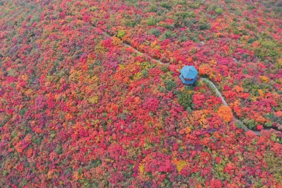 大美河南 | 良辰配佳句 青天河七夕浪漫告白