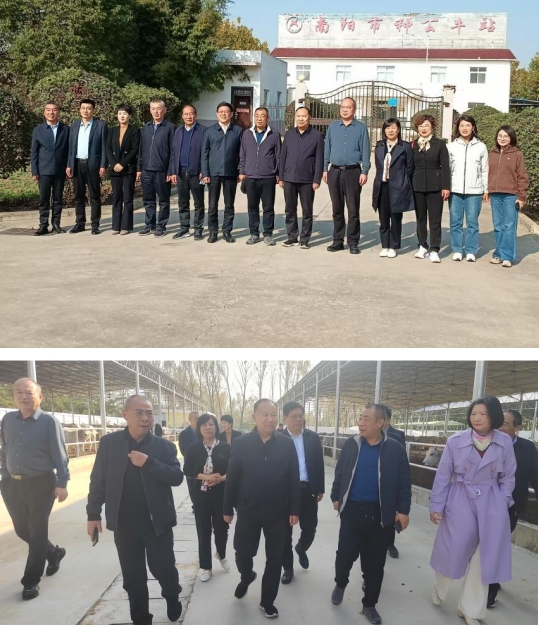 强化技术指导 着力推进皮南牛新品种培育