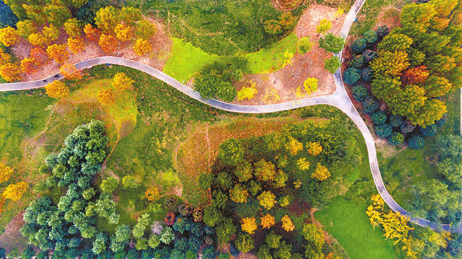 ���գ�������Ӻ�