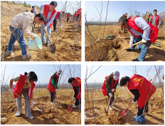 省区域合作中心开展2023年春季文明实践义务植树活动