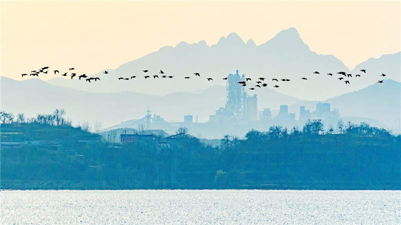 的風景就是位於河南省許昌市禹州市白沙湖風景區(白沙水庫)隆冬時節的