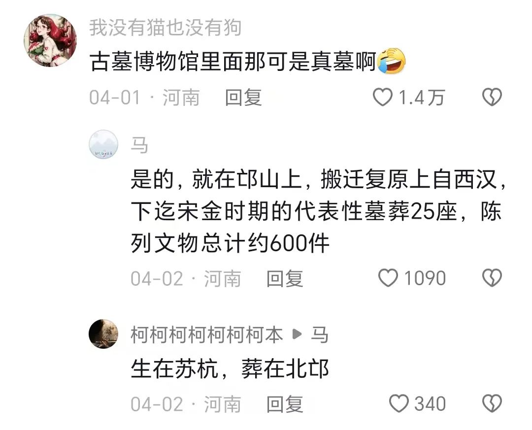 夜宿古墓？洛阳又出圈了→