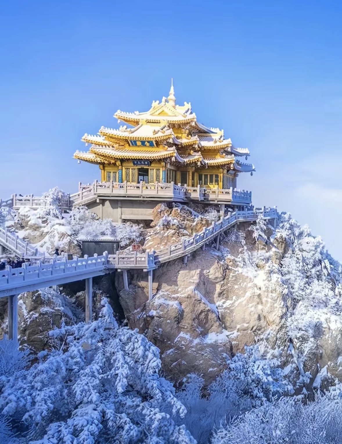 “穿越盛唐洛阳年”！洛阳推出29项文旅活动迎元旦假期