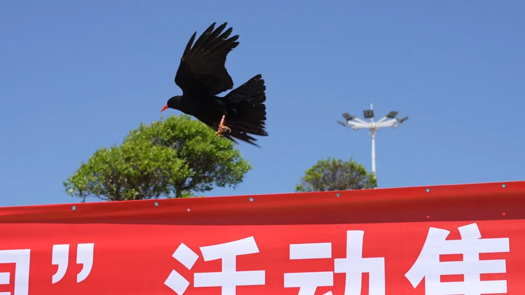 河南省第43届“爱鸟周”宣传活动启动