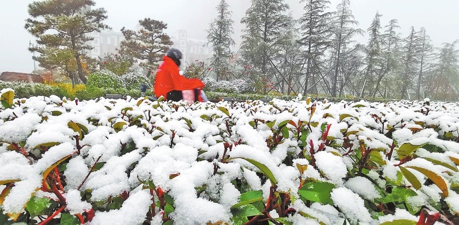 河南省迎大范圍雨雪天氣