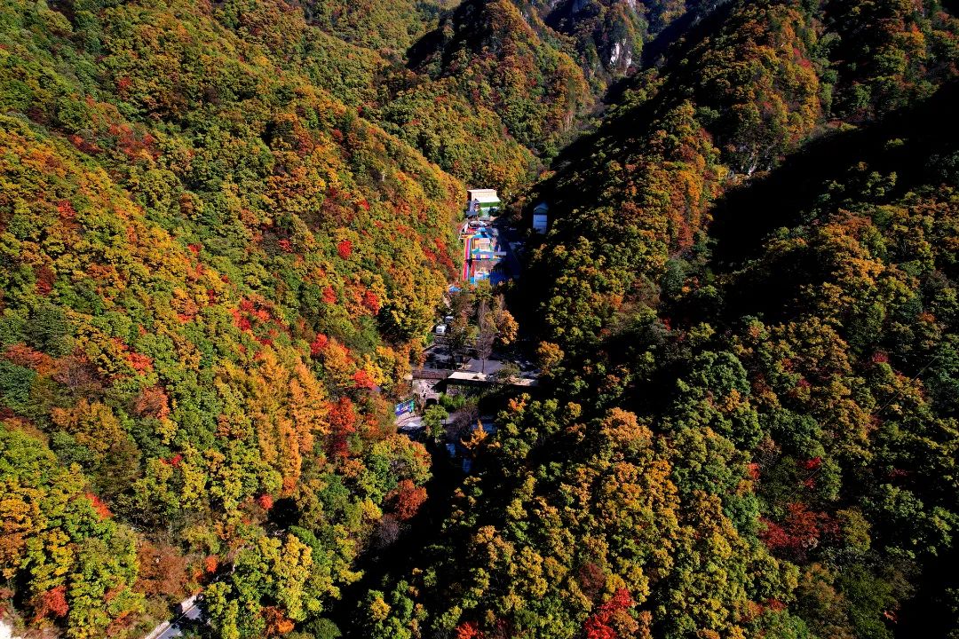 老界岭：深秋已至，万亩彩林蔚为壮观