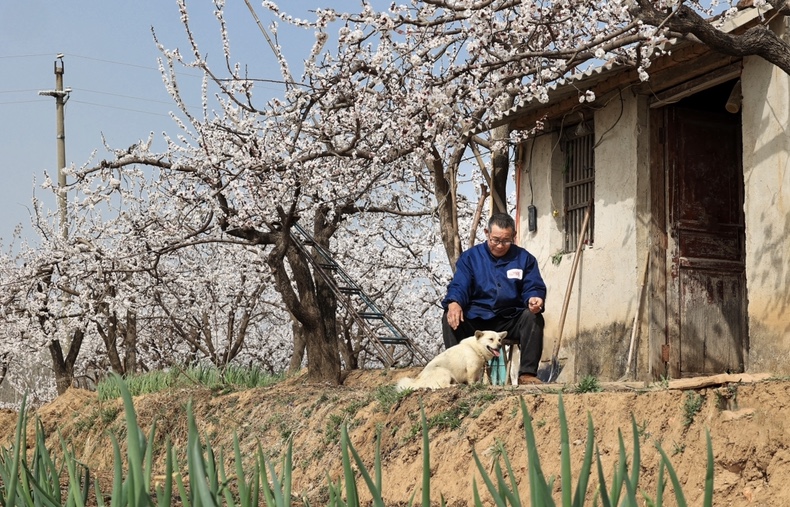 當地依託資源特色和市場需求,突出鄉村特點,挖掘文化內涵,發揮生態