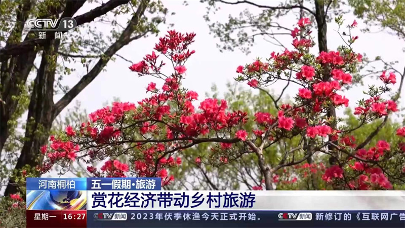 五一假期“央视”新闻里的河南文旅