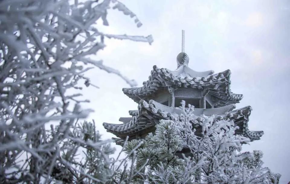 穿越时间长河，云赏老君山历年雪景