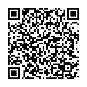 河南省营业性演出准予许可决定（410000522023000072）