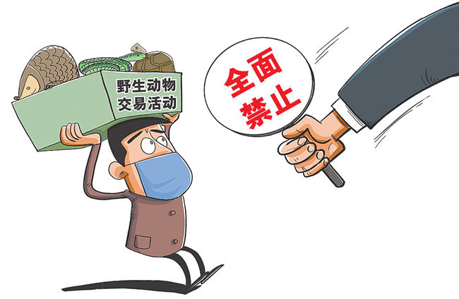 保护野生动物的金箍再紧一圈