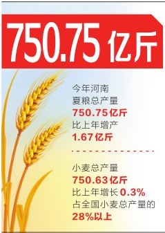 750.75亿斤！今年河南夏粮产量再创新高