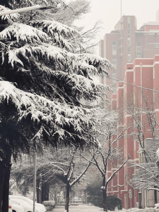 吉林工商学院雪景图片