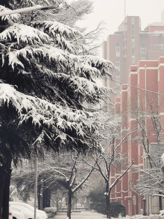 校园雪景