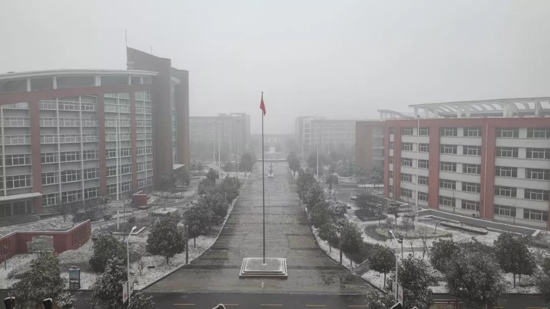 瑞雪兆丰年！你那里下雪了吗？