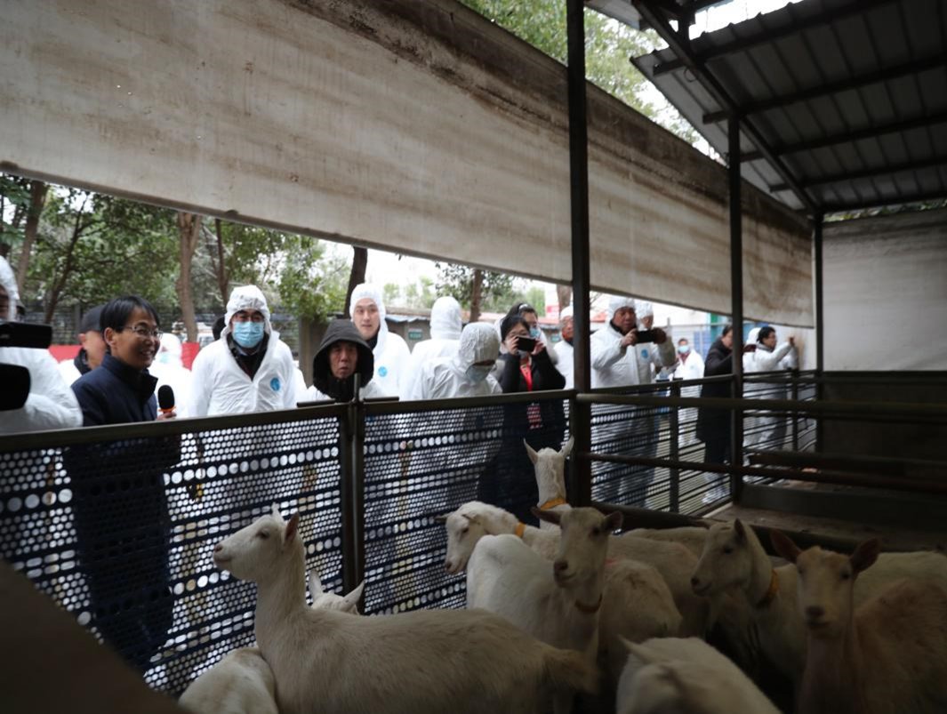 2023全国奶山羊产业发展研讨会在西峡县举行