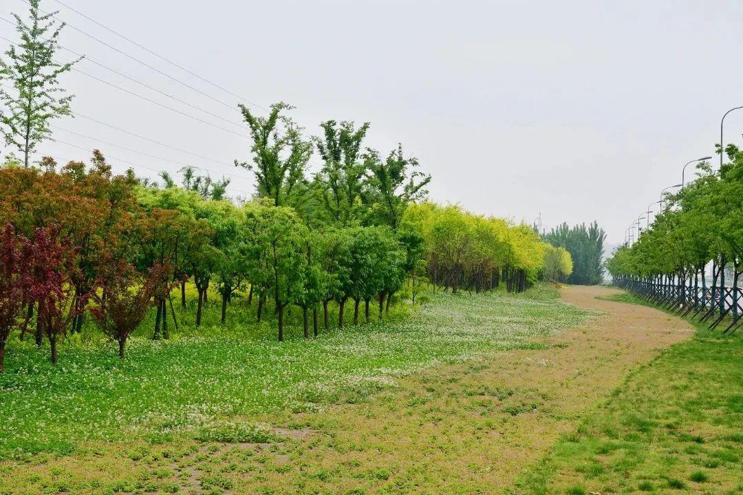 河南文旅博览会,郑州文旅博览会,河南文旅会,郑州文旅会,河南房车露营展,郑州房车露营展,河南户外用品展,郑州户外用品展