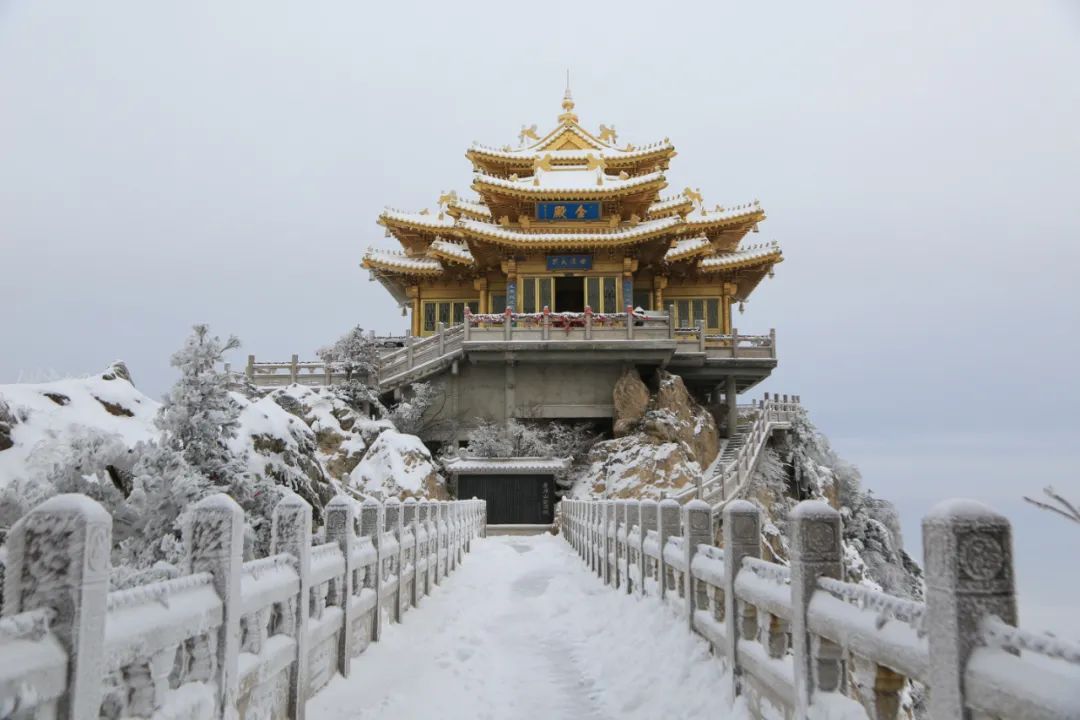 穿越時間長河雲賞老君山歷年雪景