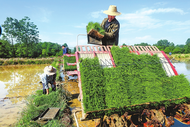河南省全力备战麦收 把丰收在望变成收成在手