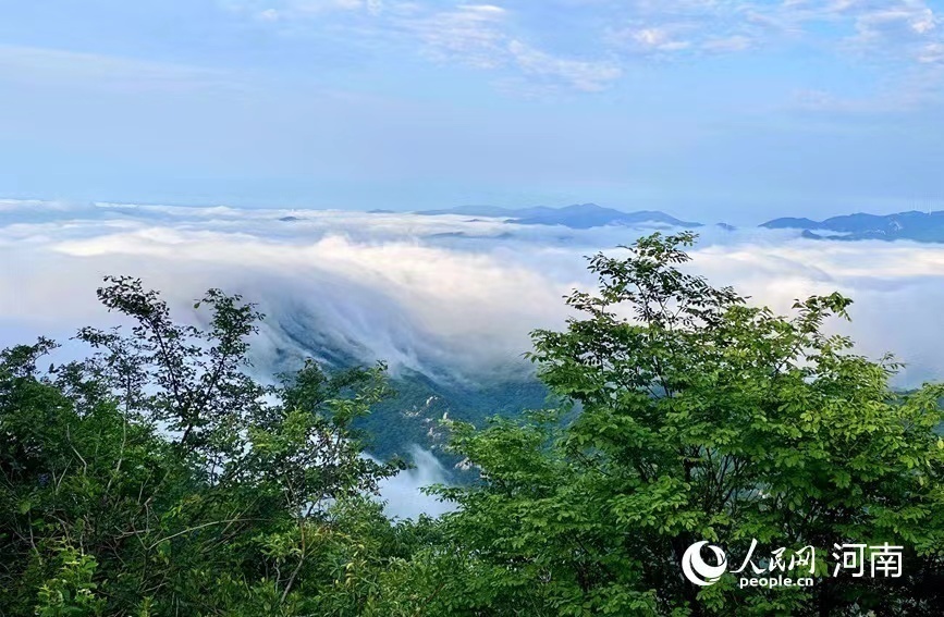 【行走河南·读懂中国】鸡公山：雨后云海美如画