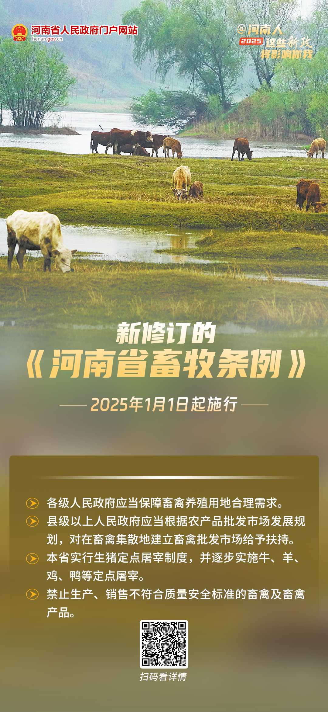 海报丨@河南人,2025年起这些新政将影响你我 海报丨@河南人,2025年起这些新政将影响你我