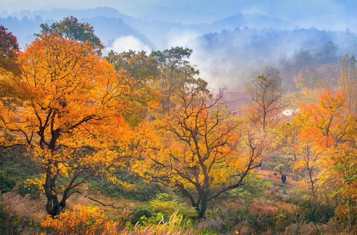 新县天台山风景区游玩攻略简介,新县天台山风景区门票/地址/图片/开放时间/照片/门票价格【携程攻略】