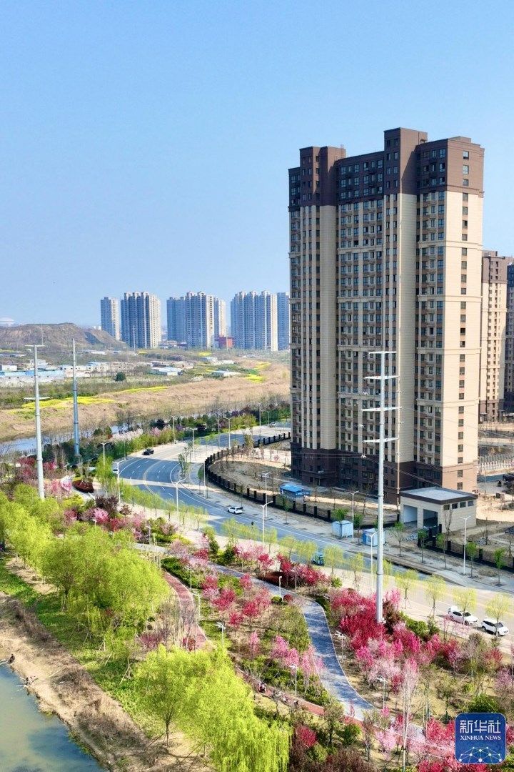 行走河南·读懂中国丨春意浓浓 我省各地花期如约而至