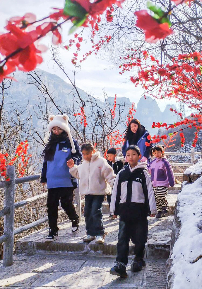 沁阳：冬景似春华 山间好风光